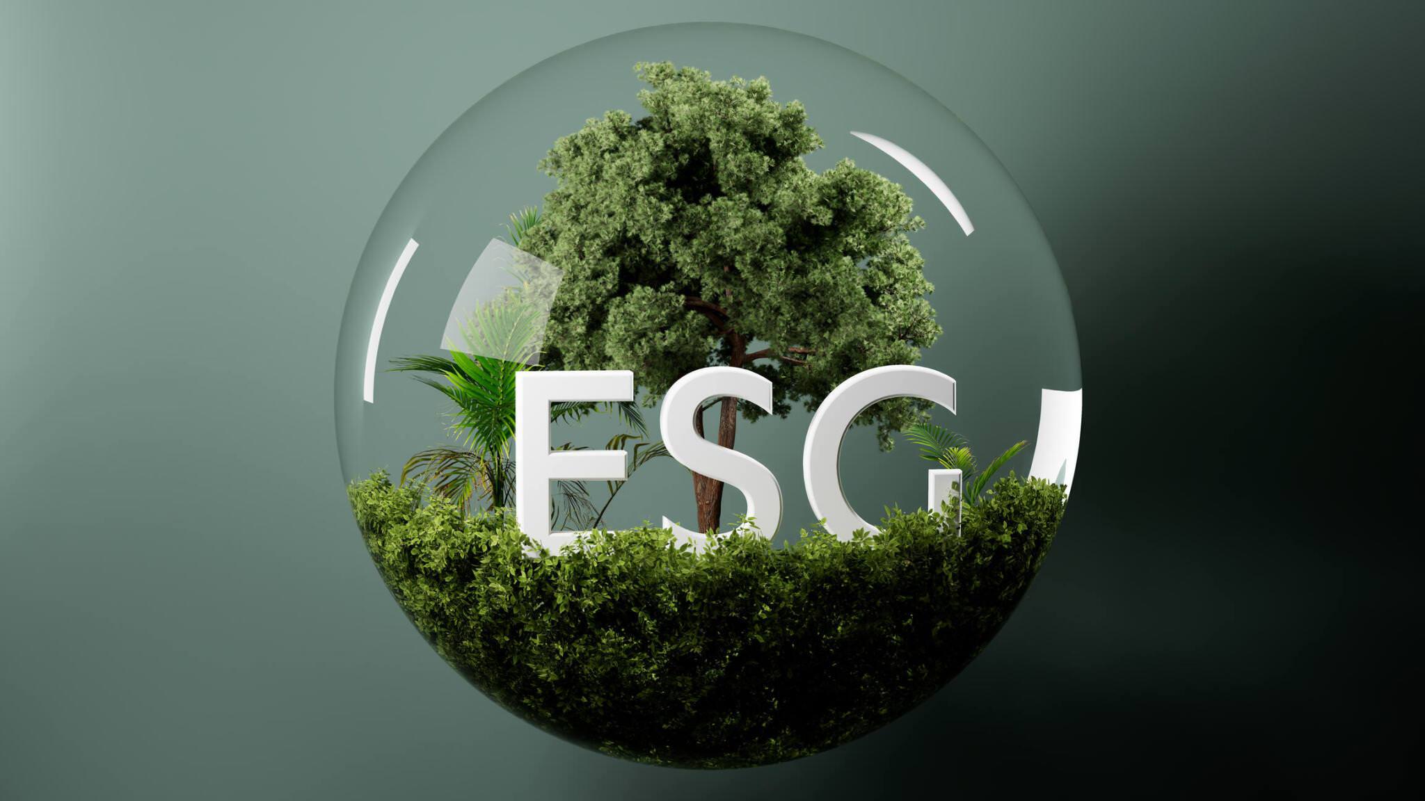 The Crucial Role of ESG in Business Growth and Sustainability in Nigeria